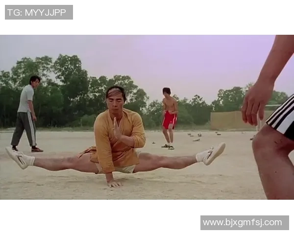 球星视角下的功夫足球：探讨足球与武术的融合与挑战